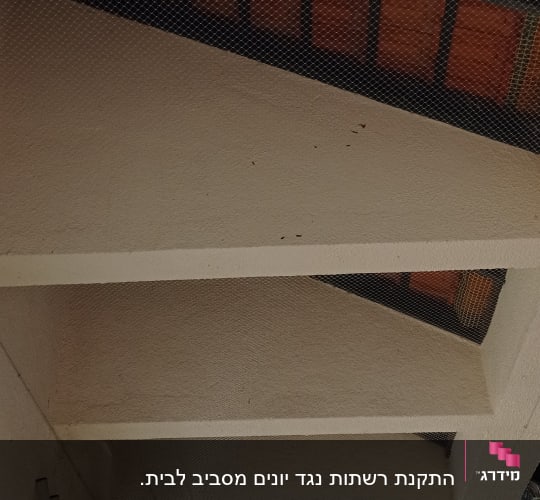 רשת מותקנת מתחת לגג למניעת כניסת יונים